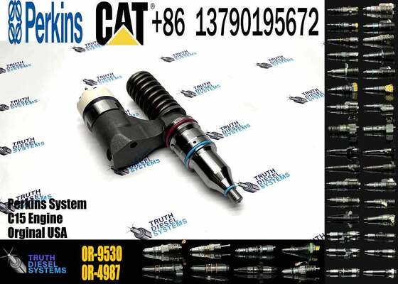 10R-0960 10R0960 1660149 166-0149 Fuel Injector for CAT C10 C12 3176 3196 C-12 Engine 194-5083 OR-9530 20R-1264 20R-1265
