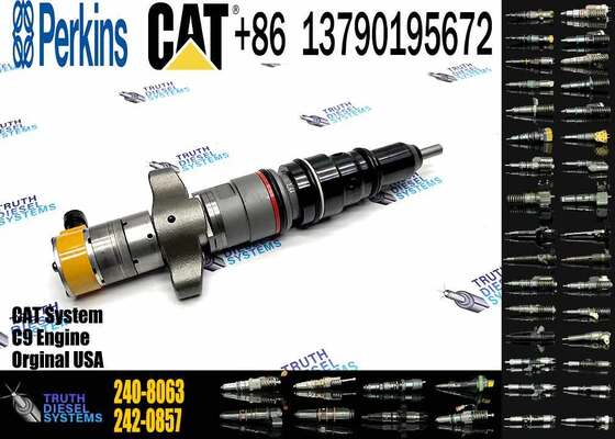 Excavator Accessories Fuel Injector 225-0117 236-0957 238-8092 240-8063 242-0857 245-3516 for CAT C9 Construction Machinery
