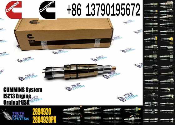 DSGENUINE 5579415 5579417 2894920 2872405 ISX15 CRI D10 ISX XPI diesel Engine Fuel Injector 5579415 5579417 2894920 2872405