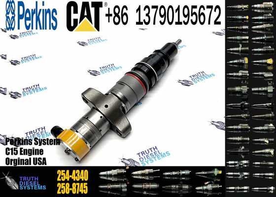 Diesel Fuel Injector 254-4340 245-3516 254-4330 254-4339 for Caterpillar C9 Engine