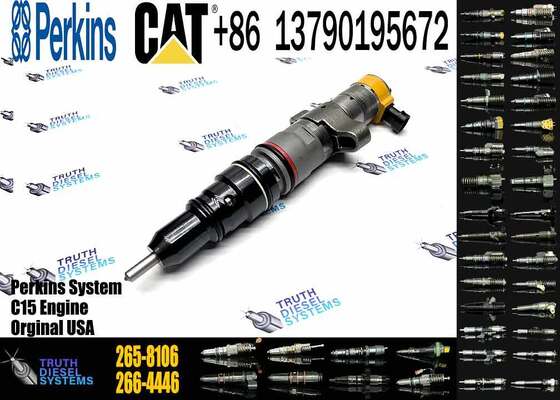 C9 HEUI Injector 258-8745 Diesel Fuel Injector 265-8106 293-4074 for Caterpillar Excavator C9 Engine Parts