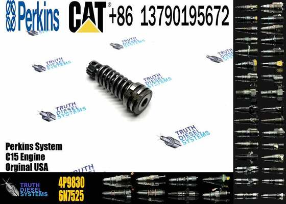 Construction Machinery Parts Fuel Injection Pump Plunger 4P9830 1W6541 7W5929 for Cat Engine 3304 3306 Plunger