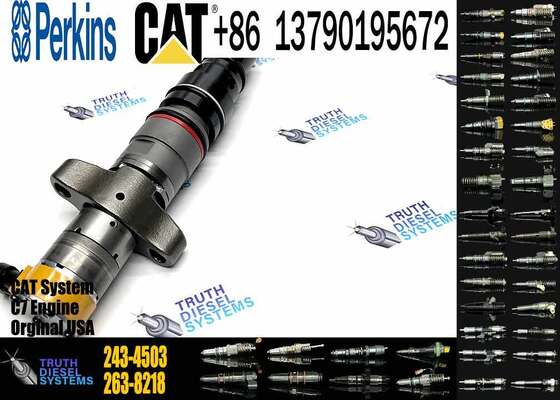 Factory Price 238-8091 241-3238 241-3239 243-4502 295-1408 387-9430 20R-8057 243-4503 20R-8058 Injector